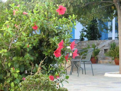 Mykonos Vouniotis Rooms, Mykonos
