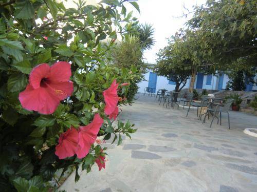 Mykonos Vouniotis Rooms, Mykonos